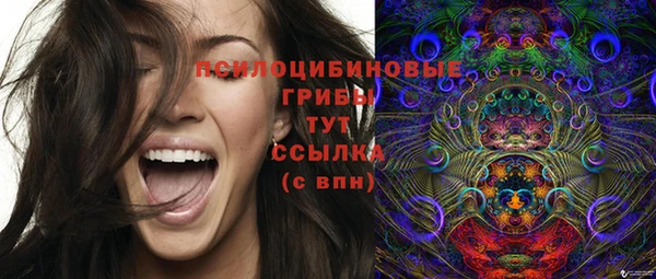 твердый Осинники