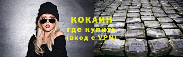 твердый Осинники